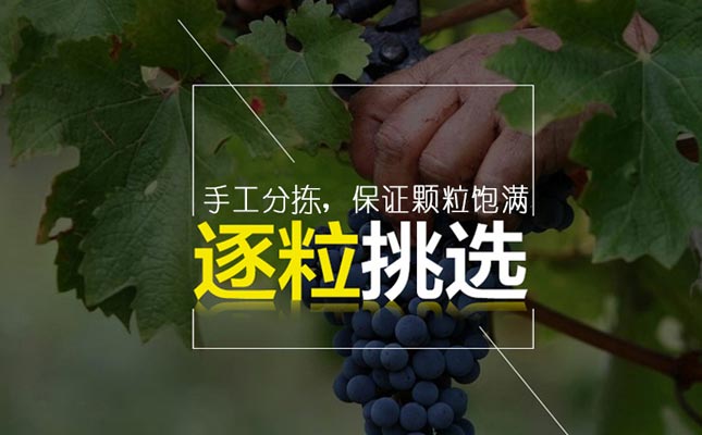 重慶紅酒批發(fā)市場 重慶紅酒批發(fā)市場
