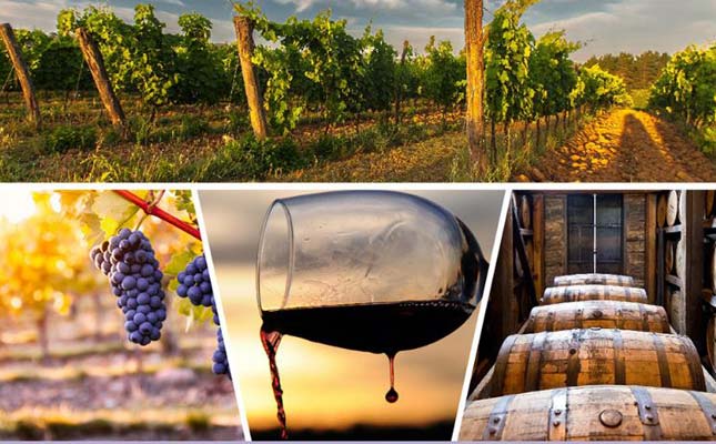 重慶紅酒批發(fā)市場 重慶紅酒批發(fā)市場