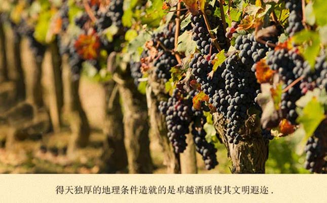 重慶紅酒批發(fā)市場 重慶紅酒批發(fā)市場