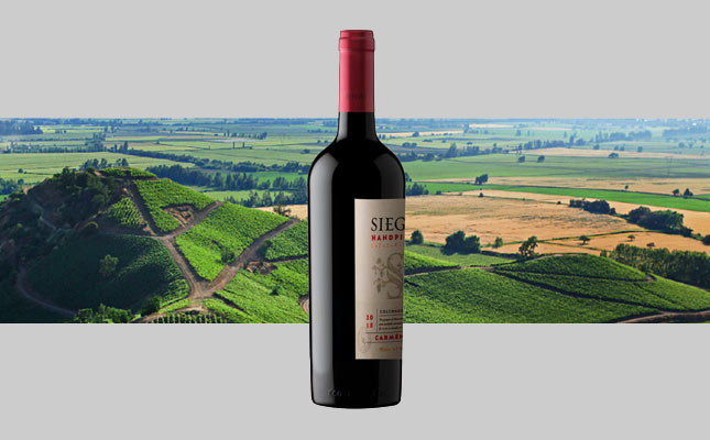 重慶紅酒批發(fā)市場(chǎng) 重慶紅酒批發(fā)市場(chǎng)