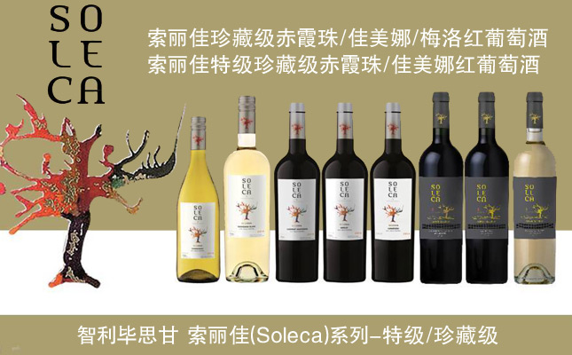 索麗佳特級(jí)珍藏赤霞珠紅葡萄酒 索麗佳特級(jí)珍藏赤霞珠紅葡萄酒