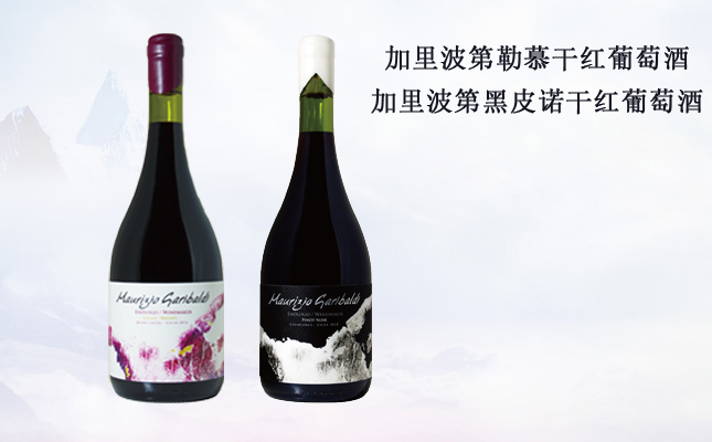 加里波第黑皮諾干紅葡萄酒 加里波第黑皮諾干紅葡萄酒