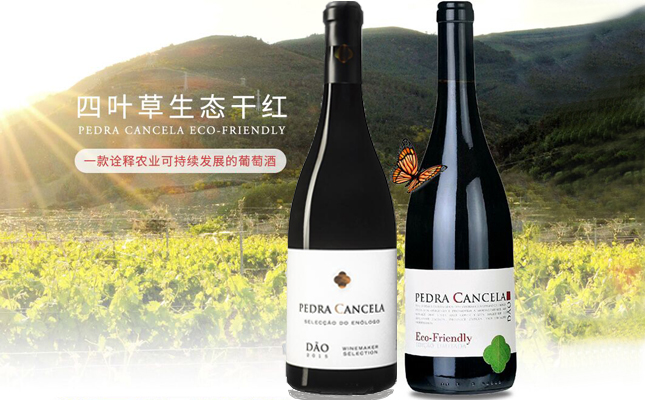四葉草生態(tài)干紅葡萄酒 四葉草生態(tài)干紅葡萄酒