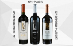 阿尤經(jīng)典精選珍藏赤霞珠佳美娜干紅葡萄酒AHU酒莊