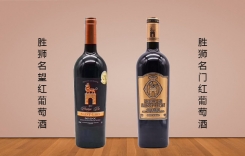 勝獅名門紅葡萄酒 Noble de Saint-Lion 法國可貝爾