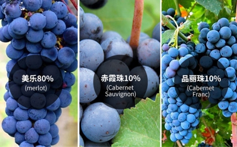 重慶葡萄酒產(chǎn)區(qū) 重慶進(jìn)口葡萄酒市場 紅酒酒莊旅游